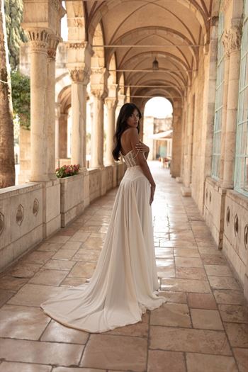 ג'ולי וינו Mimosa